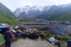 Kedar Stay, Kedarnath
