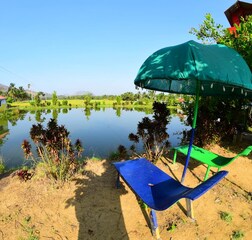 Swimming Pool 1