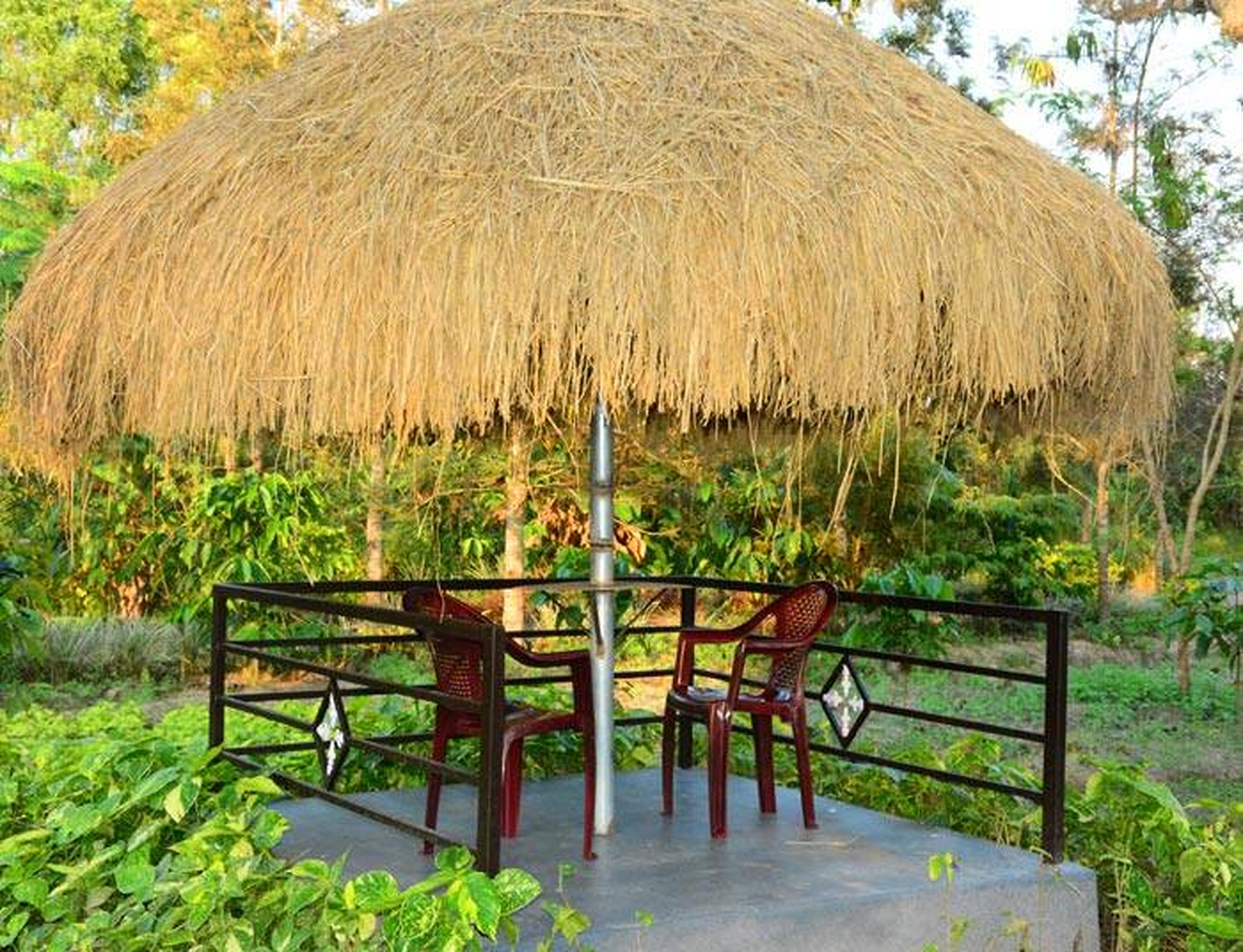 Coorg Cliff View Homestay - Tap to explore photos