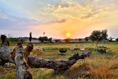 Amritara Jawai Resort, Jodhpur