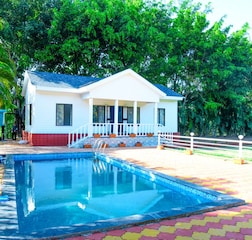Swimming Pool 1