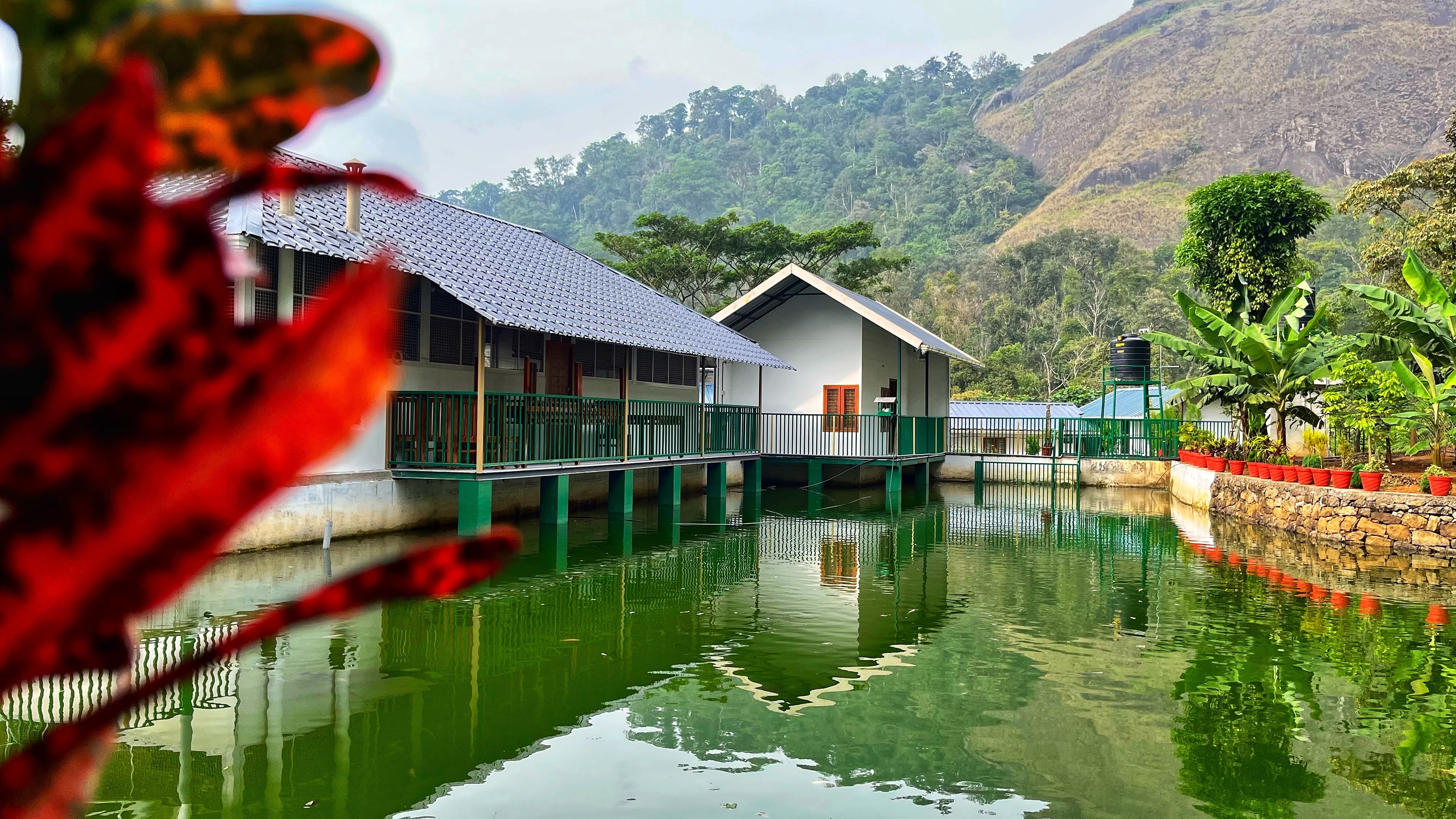 Nedumparayil Farmstay - Tap to explore photos