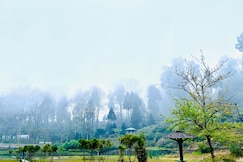 Mukhia Homestay - Takdah, Darjeeling