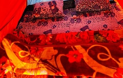 Basic Tents with a Mountain View