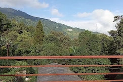 Meera homestay, Darjeeling