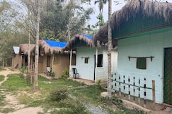 Tranquil Bambusic Bliss, Kohora