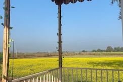 Natures nest: Experience the pulse of the wild, Palia Kalan