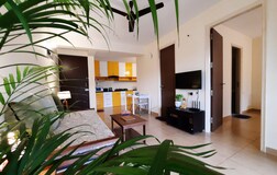 Living Room 1