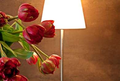 Best Western Hotel Metropoli - Tap to explore photos