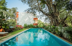 Swimming Pool 1
