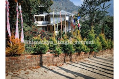 Himalaya Jungle Retreat, Namchi, Namchi