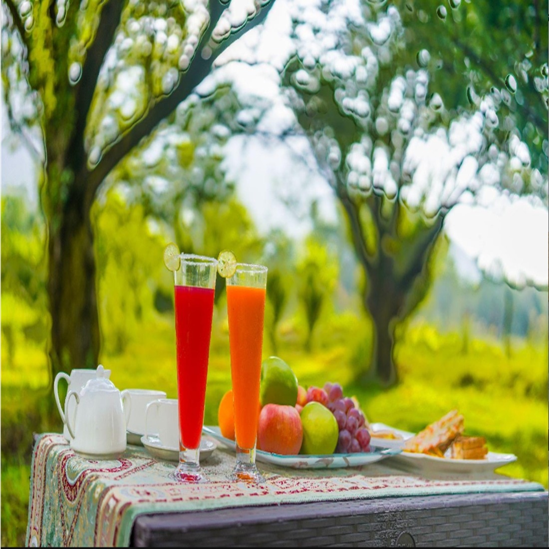 HARI RANTHAMBHORE GUEST HOUSE - Tap to explore photos