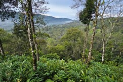 Valley Homestay Munnar, Munnar
