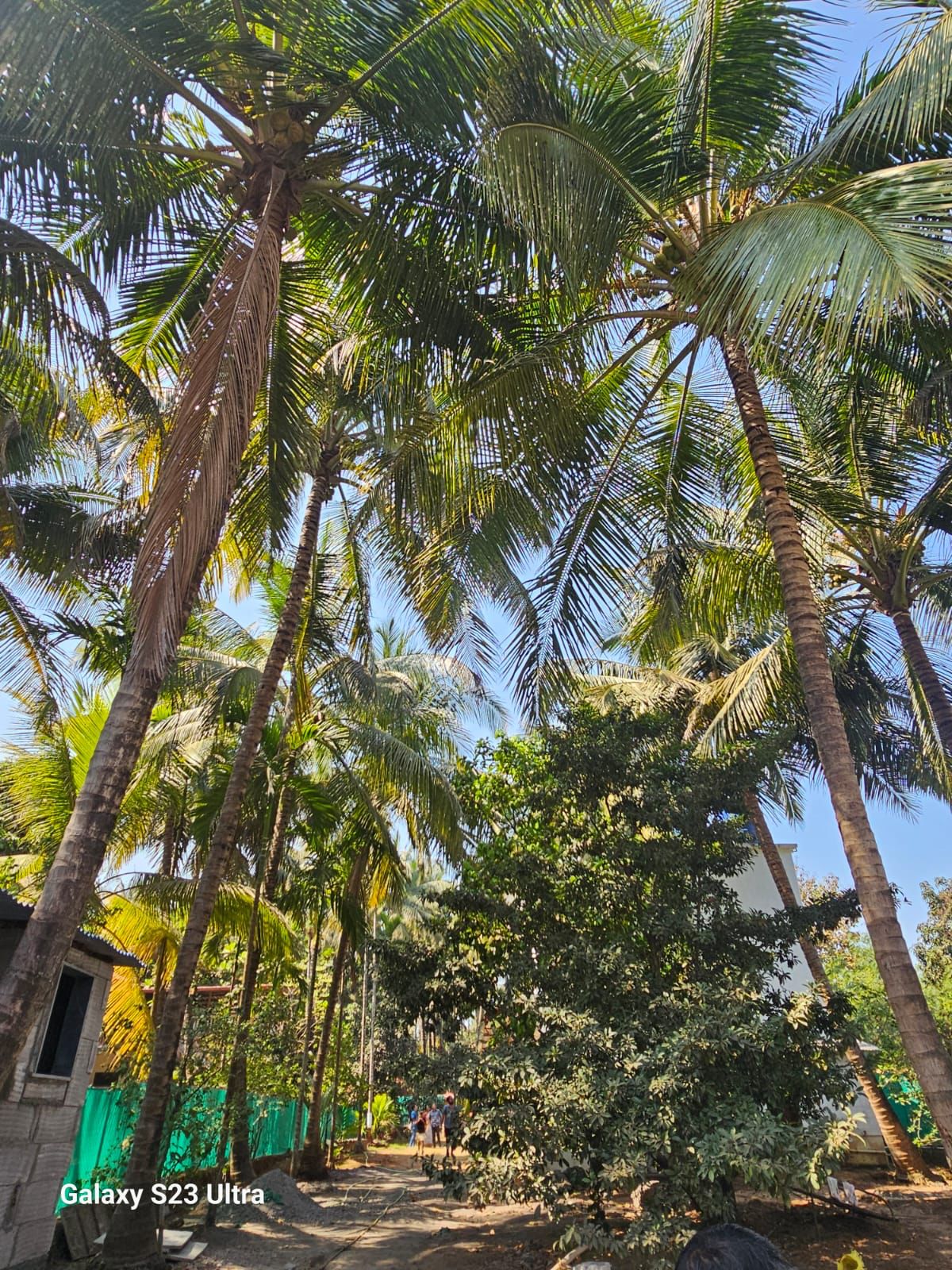 Oasis Homestay 3