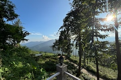 The Tea Tribe Stay, Pelling