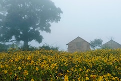 LAMBASINGI RAVI RESORT, Chintapalle