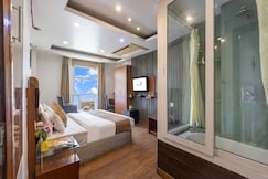 Hotel Palm Dor, Delhi