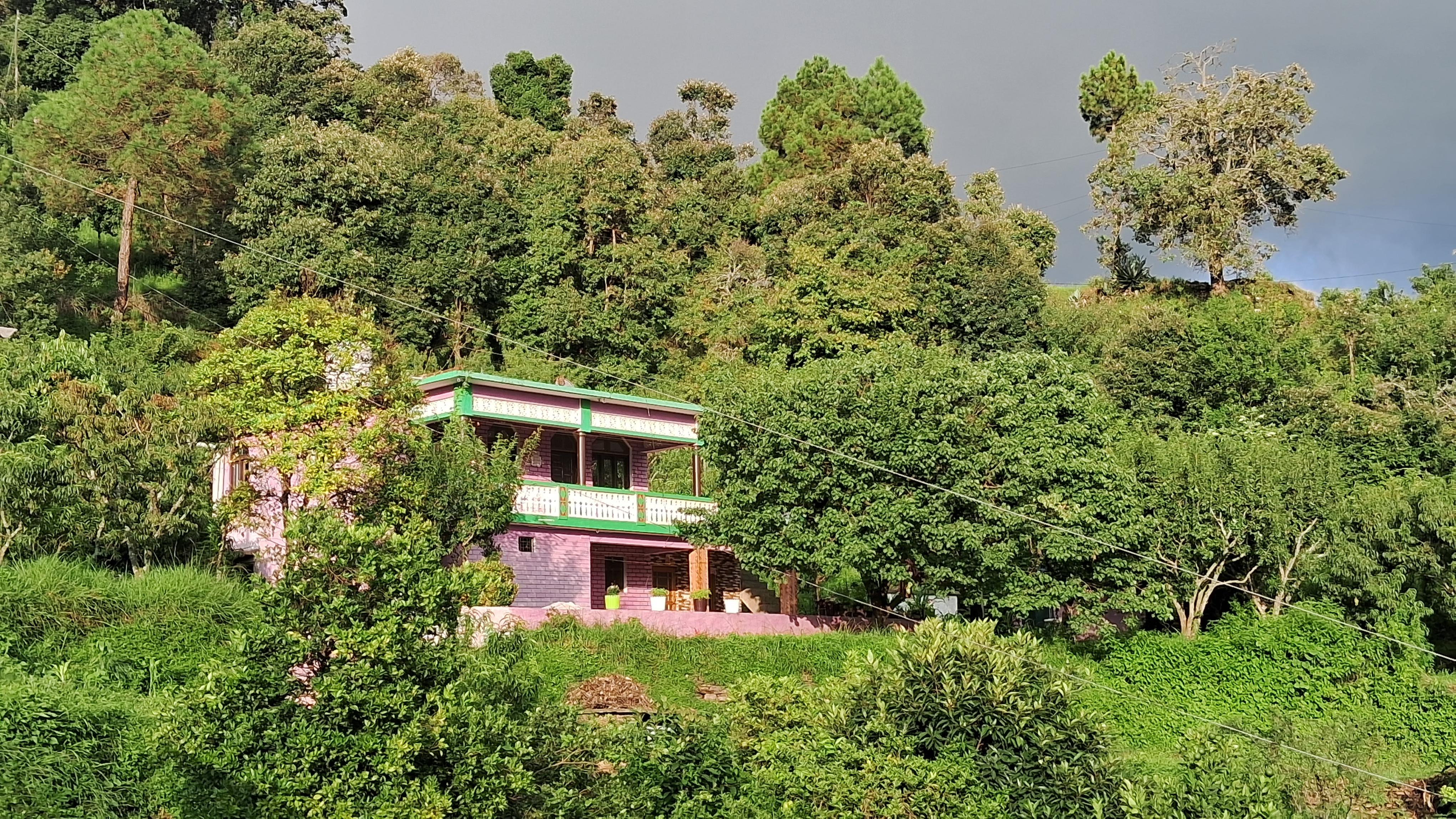 Maa kamala's family homestay / kumauni food - Tap to explore photos