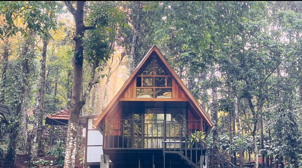 Fern Valley forest stream  view cottage - Tap to explore photos