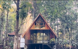 Fern Valley Rainforest Stream view Cottage