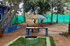 Mysore low price home stay, Mysore