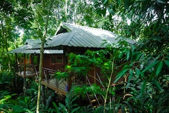 Monsoon Retreat By Daan, Munnar