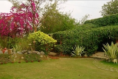 Baaz Jungle Resort, Amarwara, Madhya Pradesh