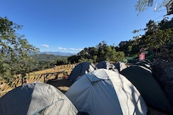 Touropedia hornbill, Kohima