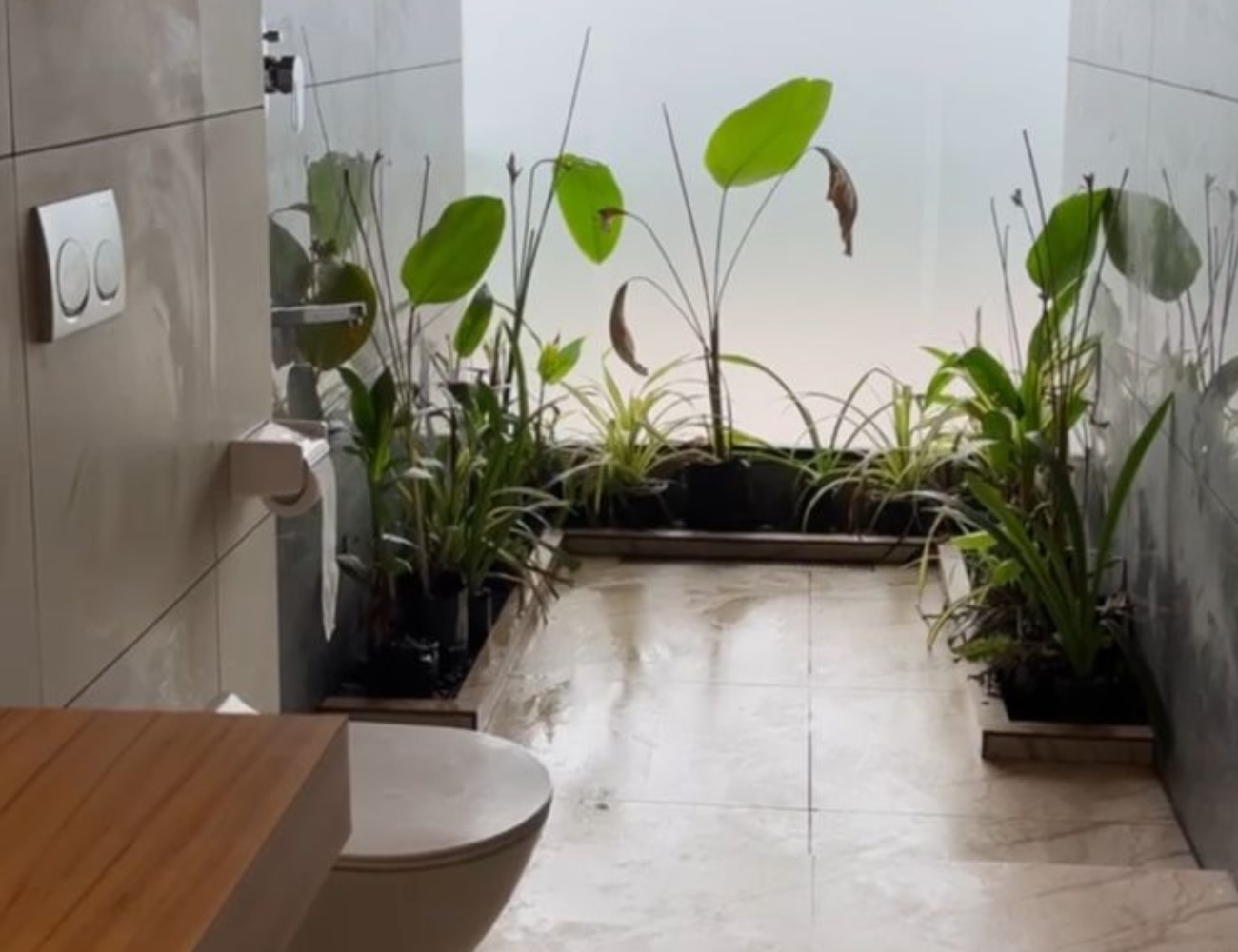 Vanam Homestay - Tap to explore photos