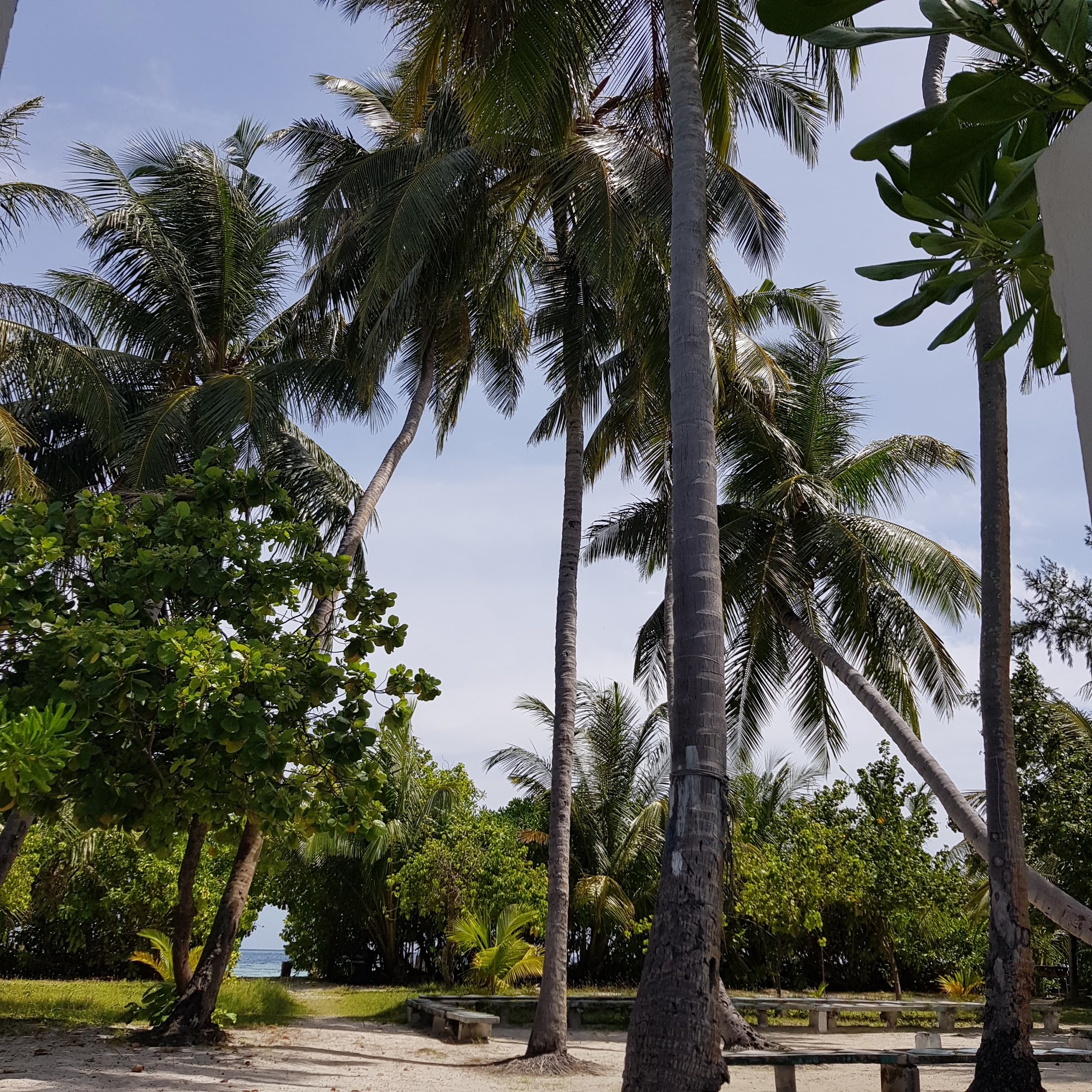 Vaali Beach Lodge Maldives - Tap to explore photos