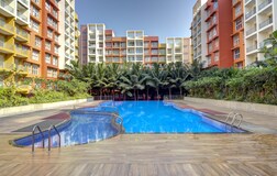Swimming Pool 1