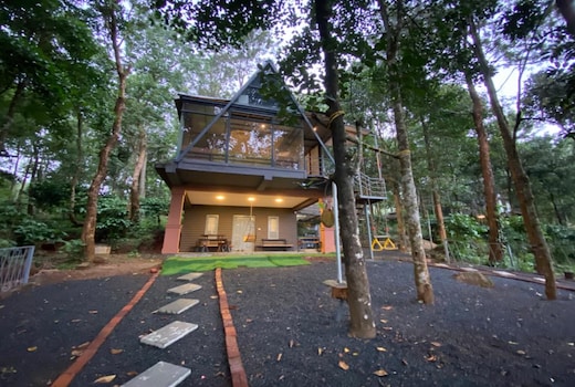 Wildroot Stay Aster Chalet