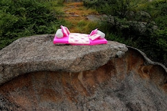 Bagheera Bagh Jawai, Udaipur