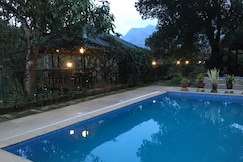 Turmerica Wayanad, Wayanad