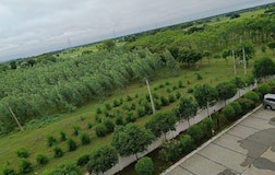 Outdoors