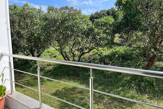 Nature View Studio Apartment near Ashvem Beach