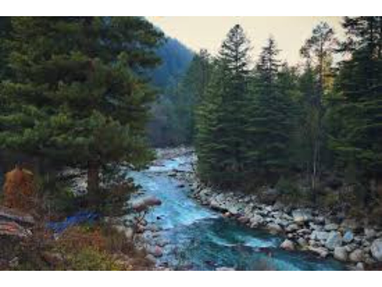 The Backpackers Guest House Kasol - Tap to explore photos