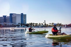 Hilton Clearwater Beach Resort & Spa, Pinellas