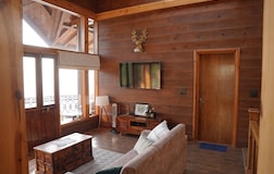 Living Room 1