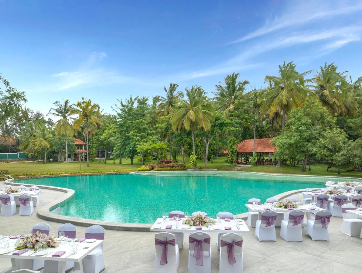Big Banyan Vineyard & Resort - Tap to explore photos