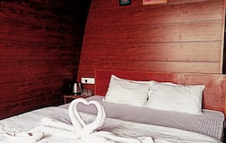 Budget Cozy Rooms