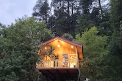 Pinehill treehouse, Gushaini