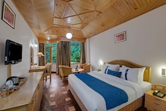 Bravia Hotel Manali Inn, Manali