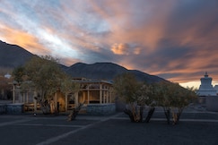 The Postcard in the Himalayan Willows , Stok, Leh, Leh