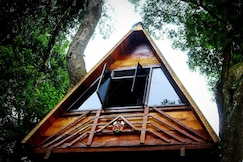 Econest treehouse, Coorg