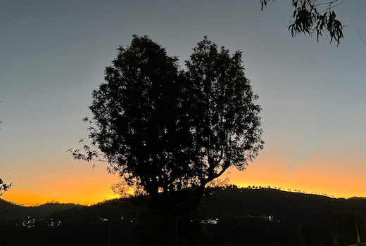 Moonlight Chillers Homestay Coonoor by Lexstays