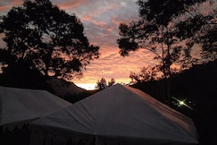 Nature's Nest Resort & cafe, Nainital