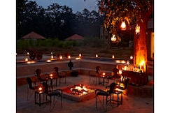 The Roaring Salvan County, Bandhavgarh