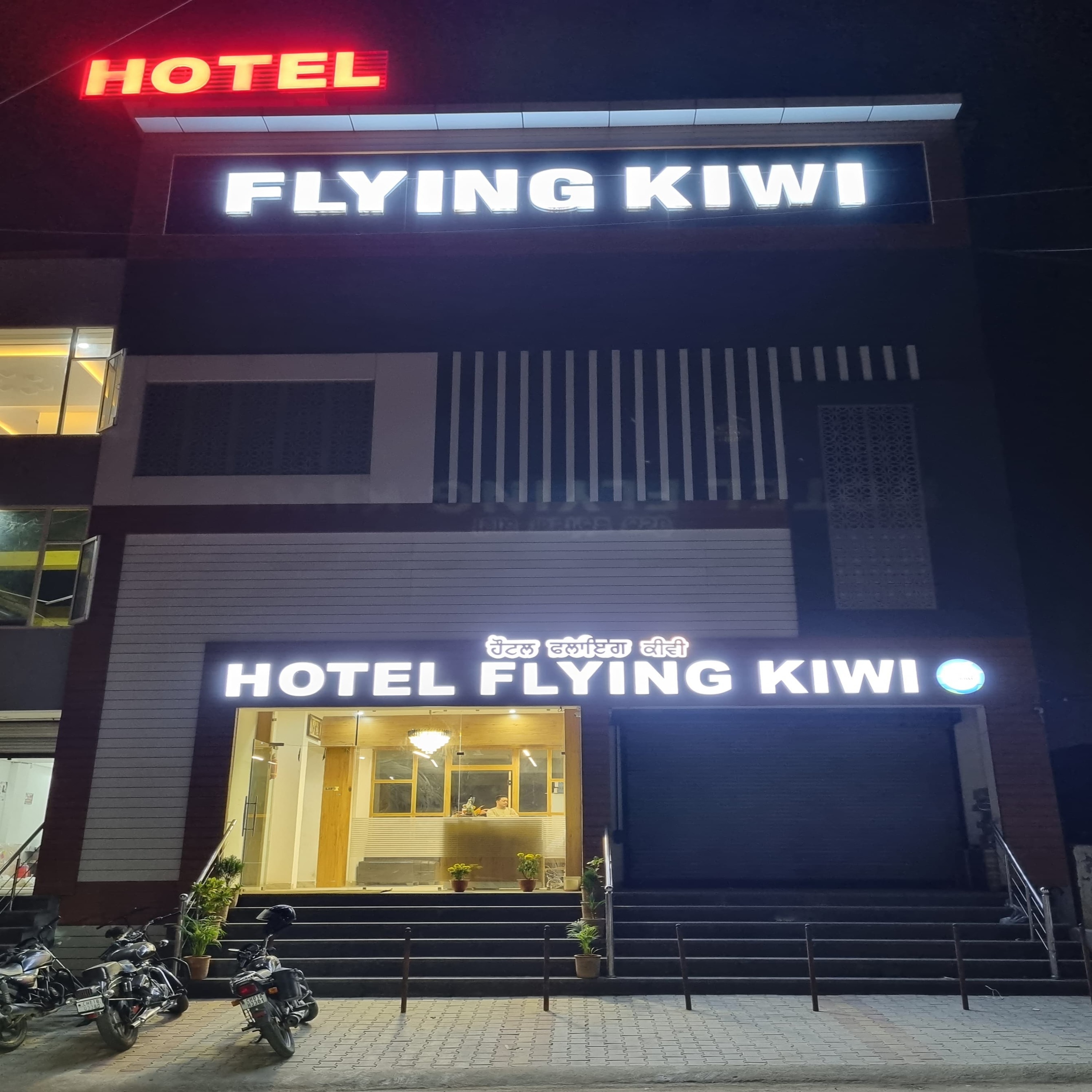 Flying Kiwi - Tap to explore photos