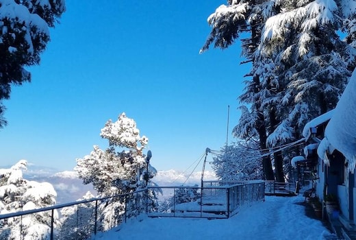 The Hawk Nest | Entire Cottage & Caretaker